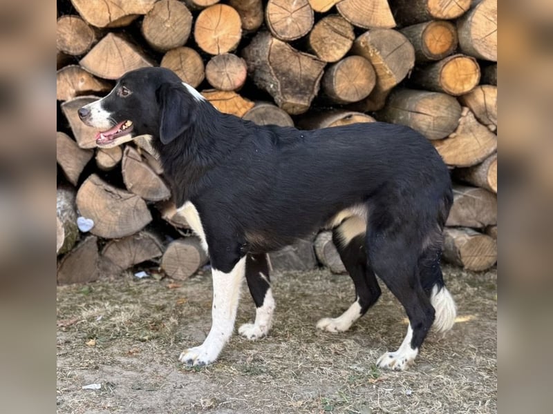 Stella ein unsicheres Mädchen