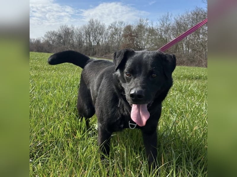 John - sehnt dich nach Liebe