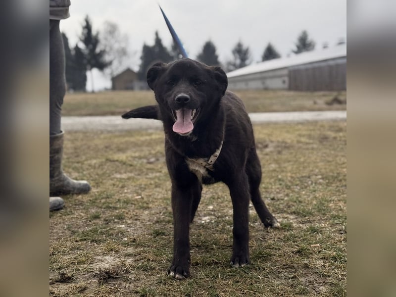 Enya eine wundervolle Seele