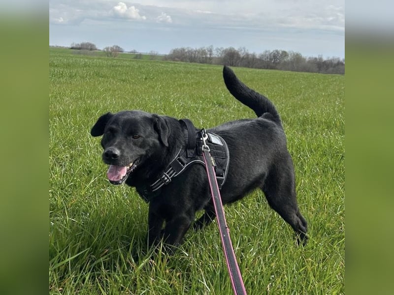 John - sehnt dich nach Liebe