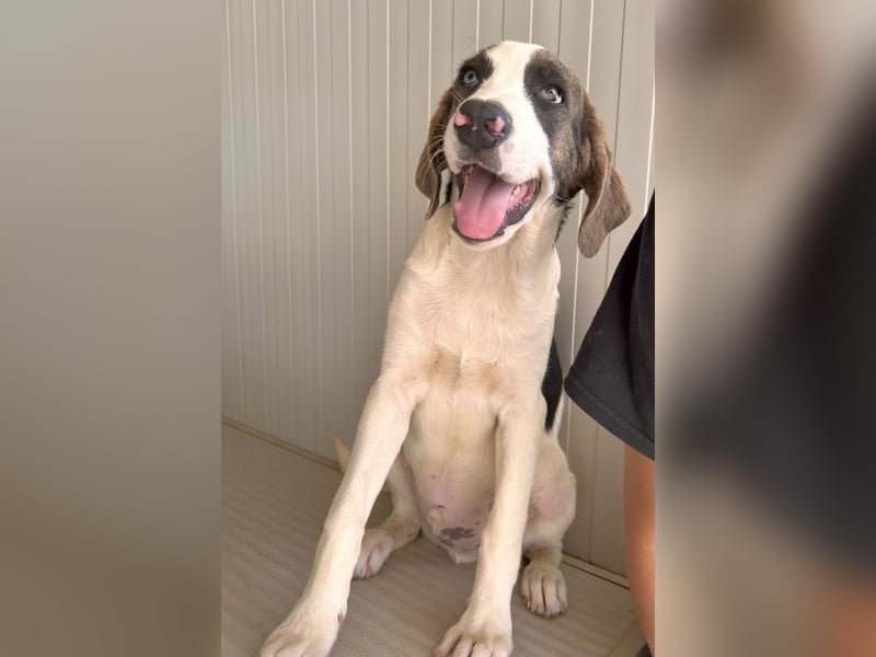 Carlo: ihn muss man lieb haben