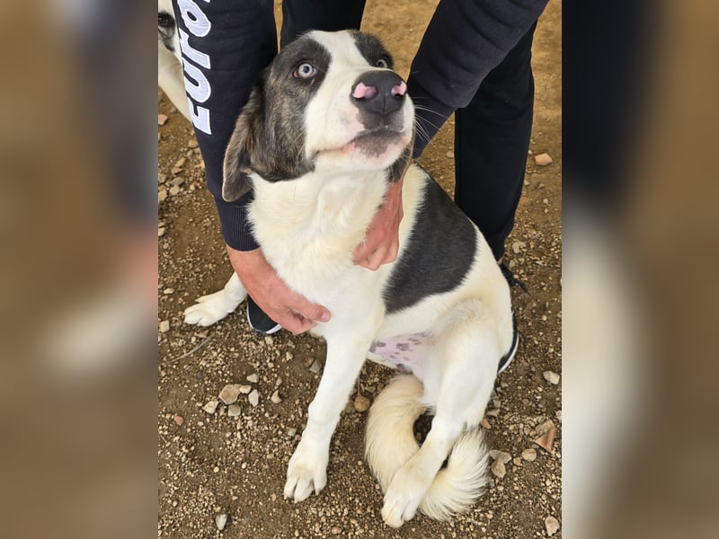 Carlo: was will man mehr?