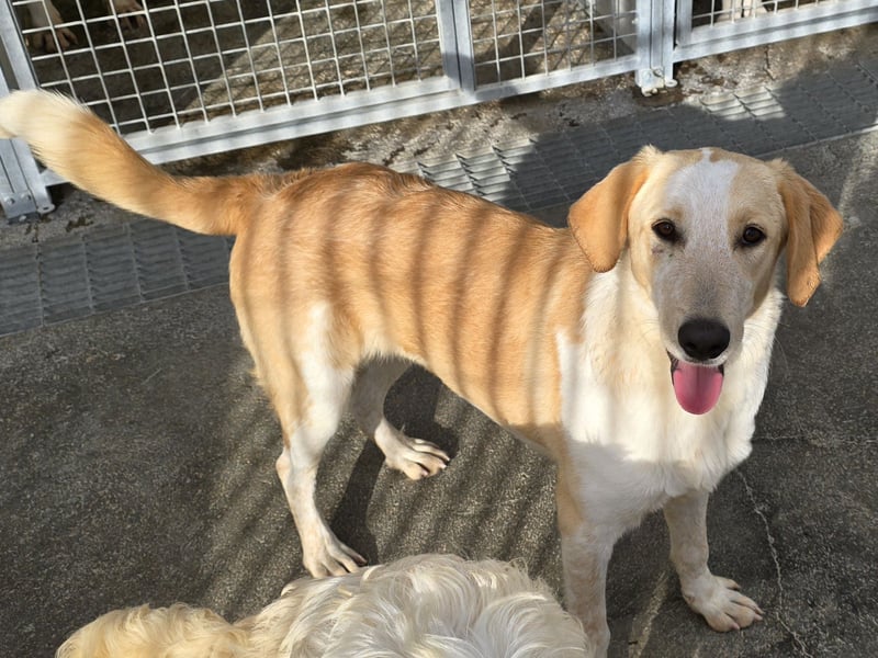 Trilly: ein Schatz für die ganze Familie