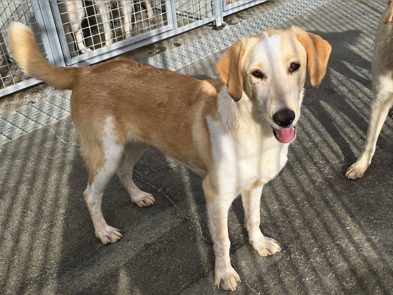 Trilly: ein Schatz für die ganze Familie