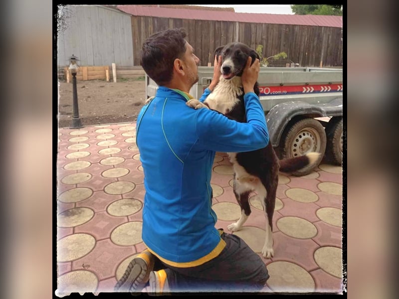 Hänsel - ein Schatz auf 4 Pfoten wartet auf seine Menschen