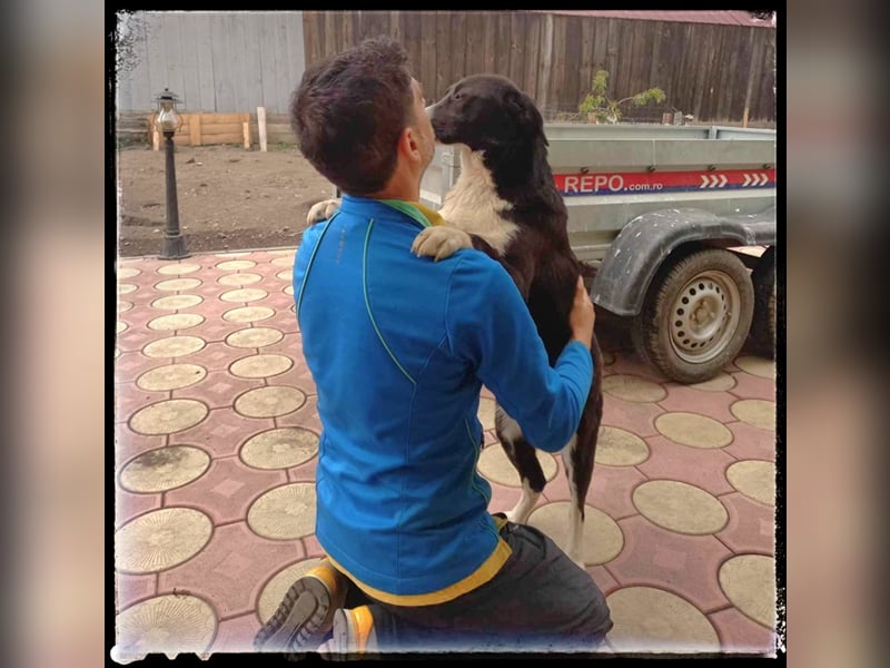 Hänsel - ein Schatz auf 4 Pfoten wartet auf seine Menschen