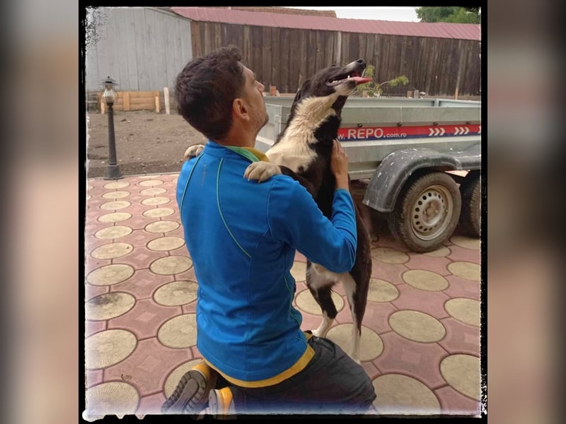 Hänsel - ein Schatz auf 4 Pfoten wartet auf seine Menschen