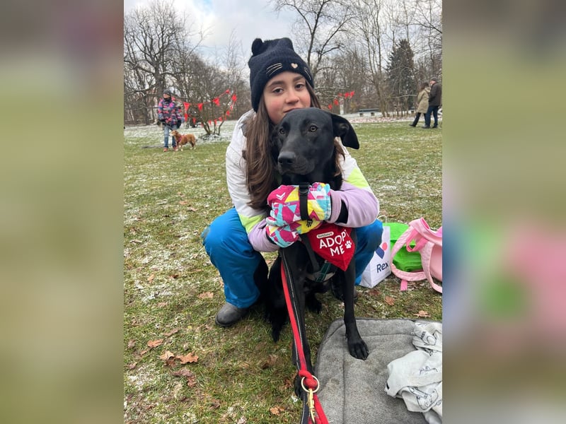 Benni- kleiner Charmeur sucht sein Glück