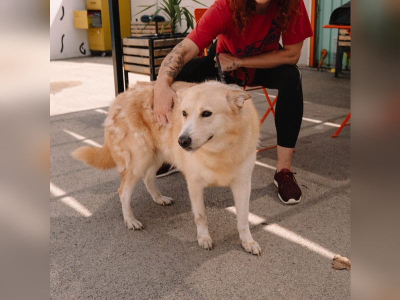 Wundervolle Capuccina