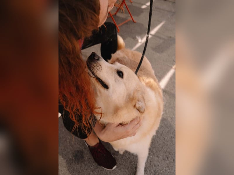 Wundervolle Capuccina