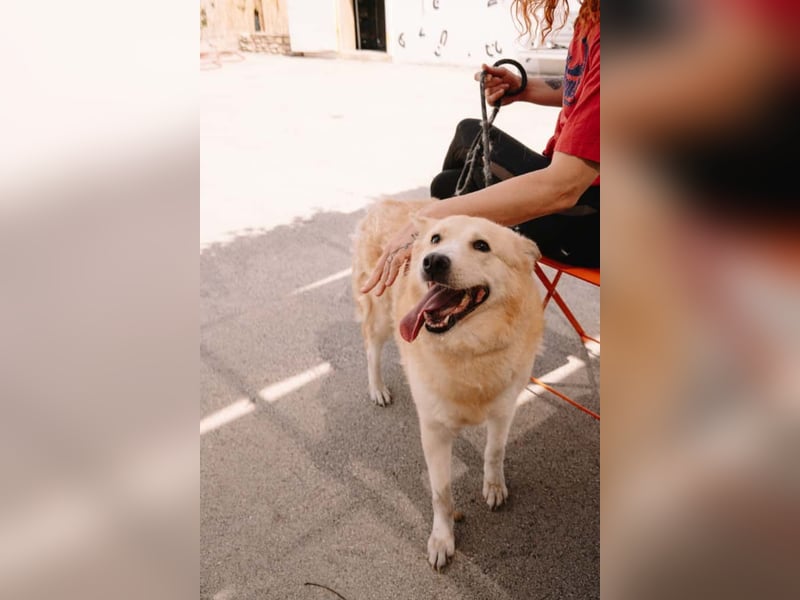 Wundervolle Capuccina