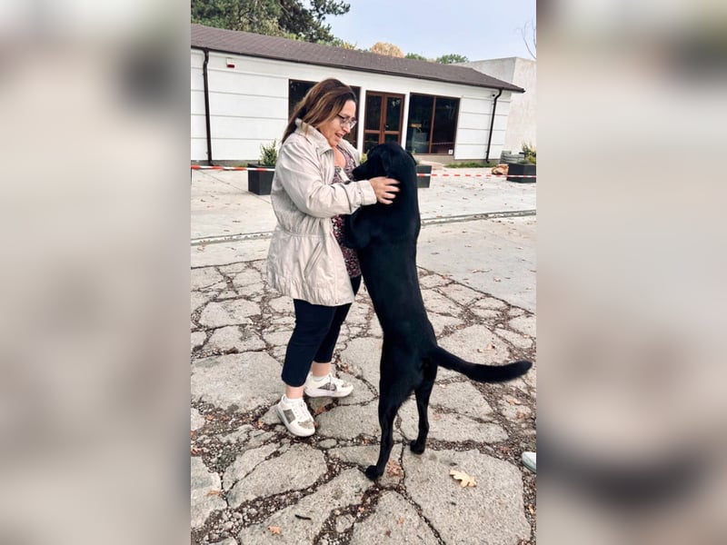 SAMMY sucht eine liebe Familie