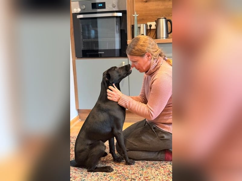 ❤️ Sunny Pflegefamilie 41812 Erkelenz