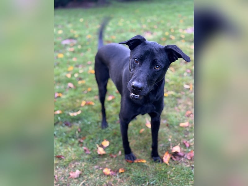 ❤️ Sunny Pflegefamilie 41812 Erkelenz