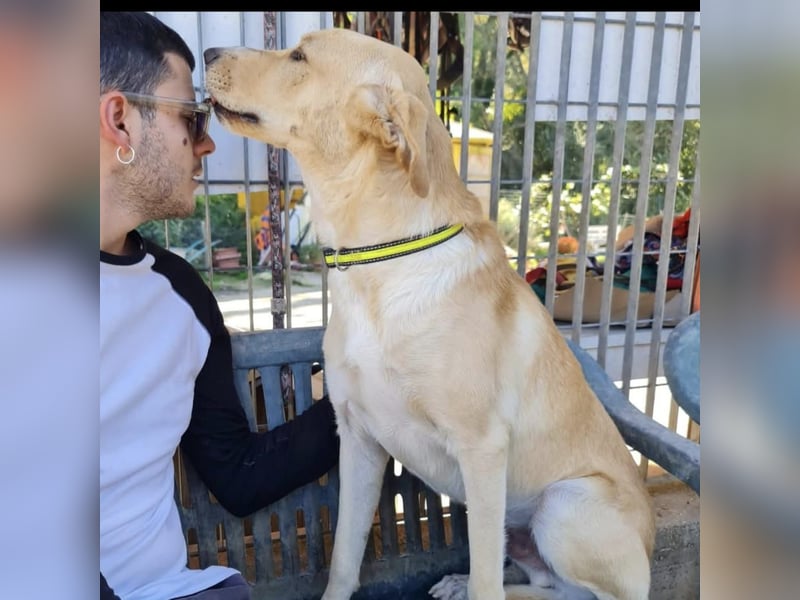 Akash - RESERVIERT - für mehr Lachen, Leben und Liebe in deinem Alltag
