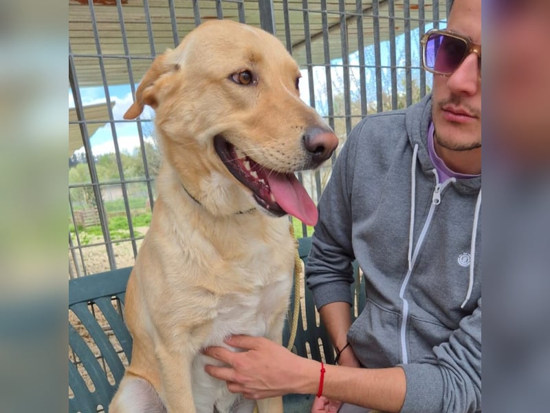Akash - RESERVIERT - für mehr Lachen, Leben und Liebe in deinem Alltag