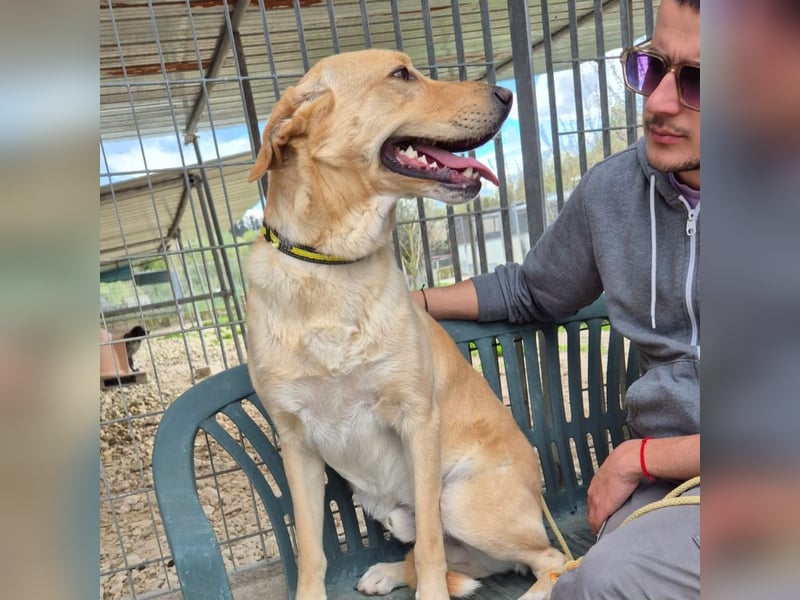 Akash - RESERVIERT - für mehr Lachen, Leben und Liebe in deinem Alltag