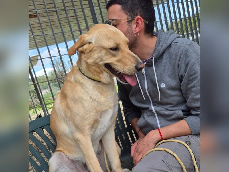 Akash - RESERVIERT - für mehr Lachen, Leben und Liebe in deinem Alltag