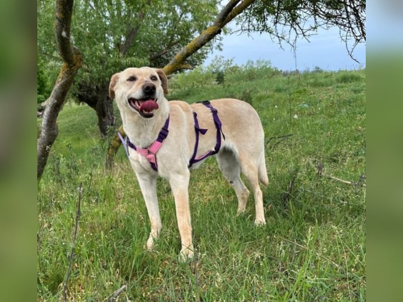 Luna - liebt jeden!