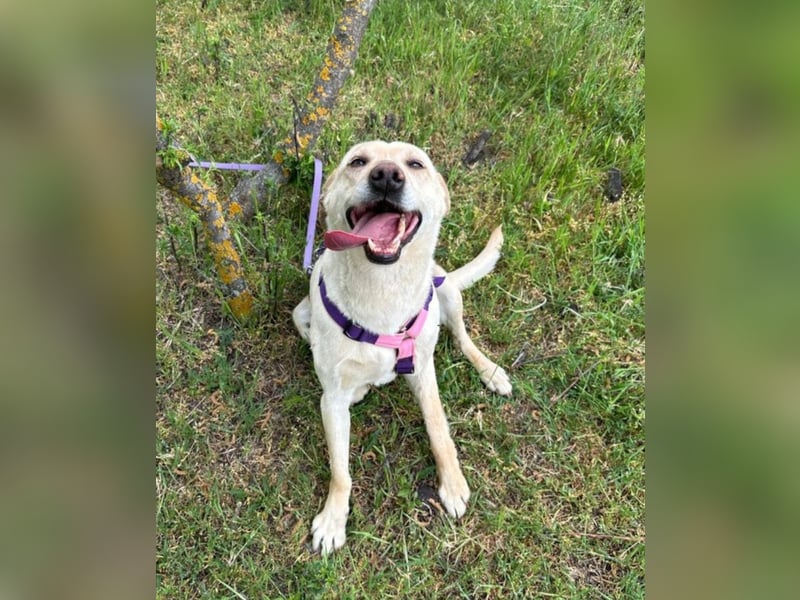 Luna - liebt jeden!
