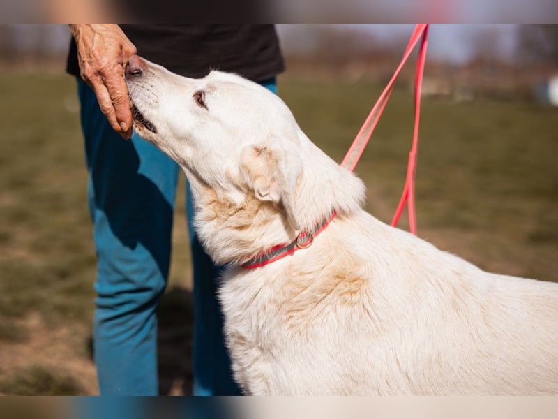 Sonnenschein ♥Malena♥ sucht ihr Körbchen