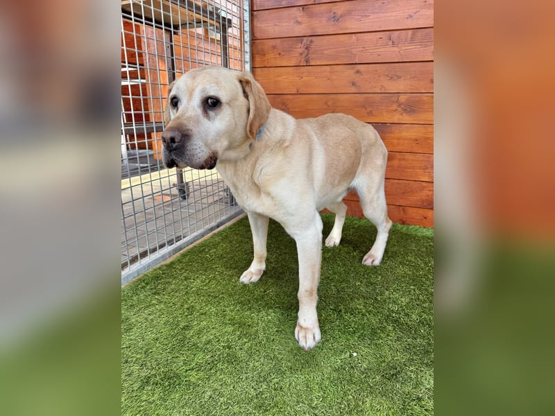 Yogurt-freundlich, sozial