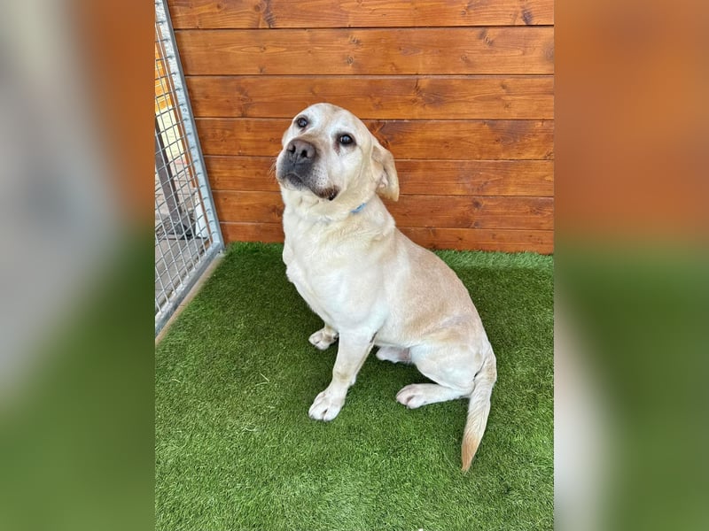 Yogurt-freundlich, sozial