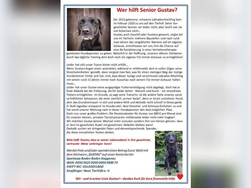 Gustav: rüstiger Rentner sucht Gnadenbrot!