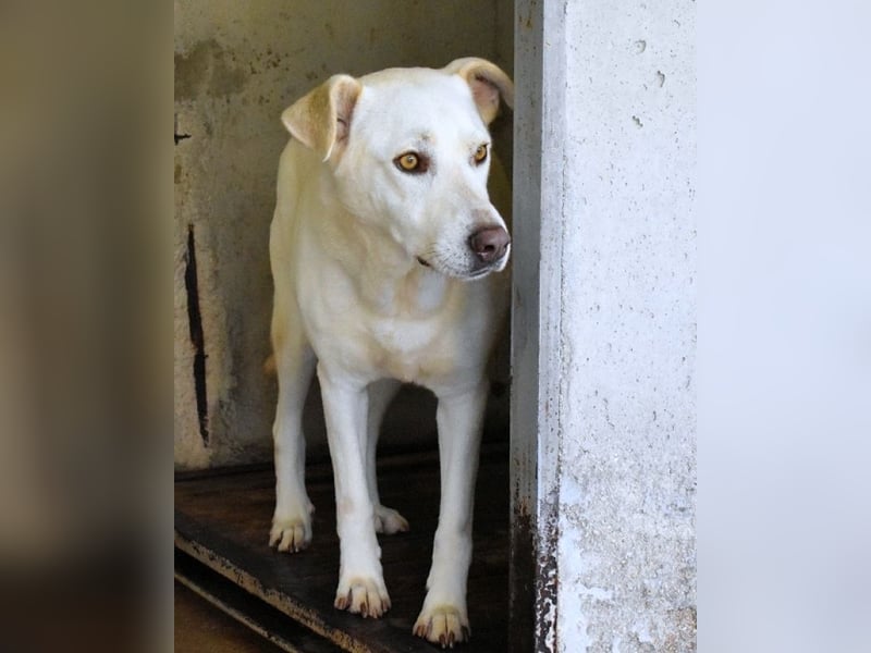 Luken - Zwei Seelen. Zwei Geschichten. Ein Ziel. Luken - Zwei Seelen. Zwei Geschichten. Ein Ziel.