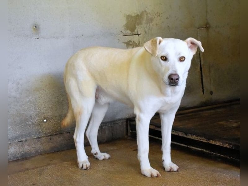 Luken - Zwei Seelen. Zwei Geschichten. Ein Ziel.