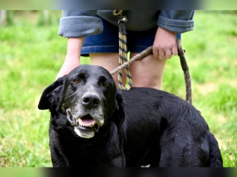 Titus - Hat jemand aus dem Fenster geschaut?