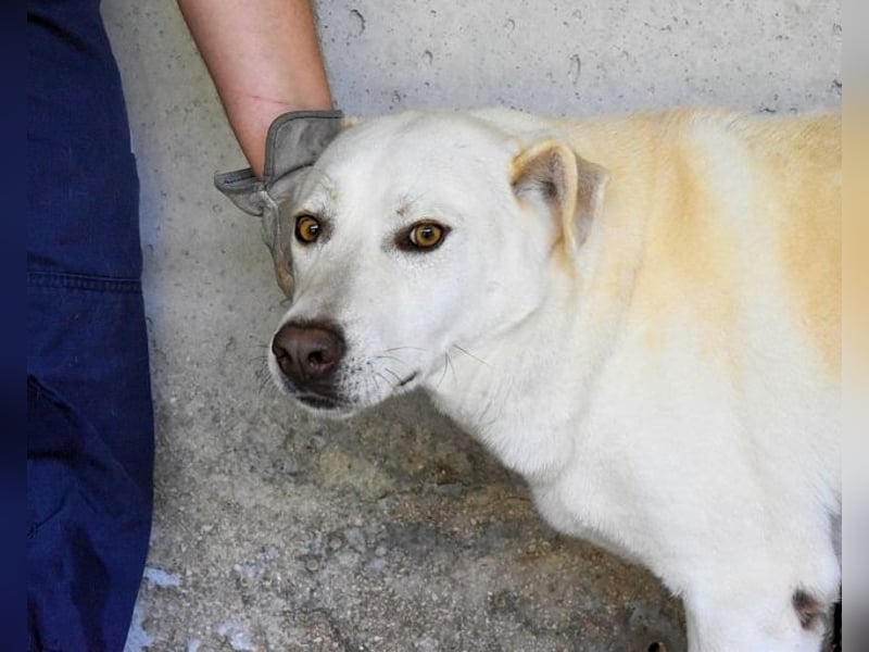 Luken - Zwei Seelen. Zwei Geschichten. Ein Ziel. Luken - Zwei Seelen. Zwei Geschichten. Ein Ziel.