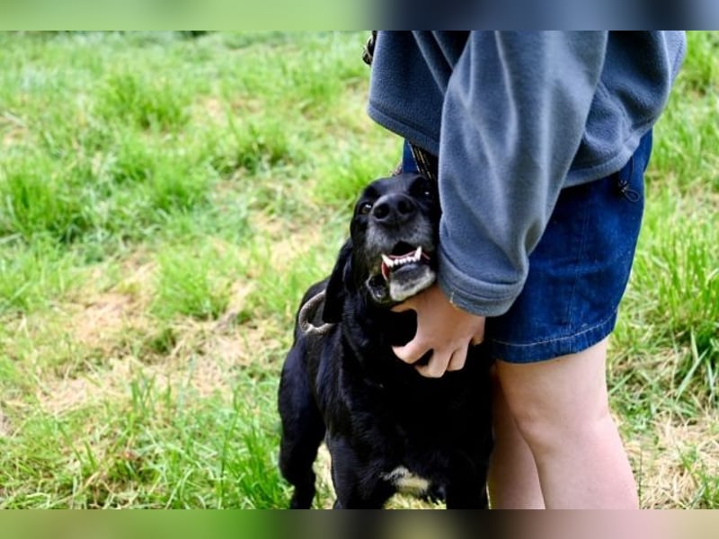 Titus - Hat jemand aus dem Fenster geschaut?