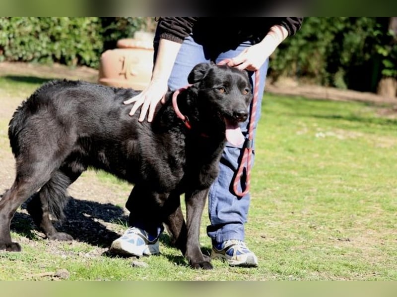 Jonatan - ist liebenswürdig zu Menschen