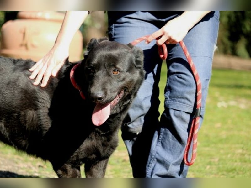 Jonatan - ist liebenswürdig zu Menschen