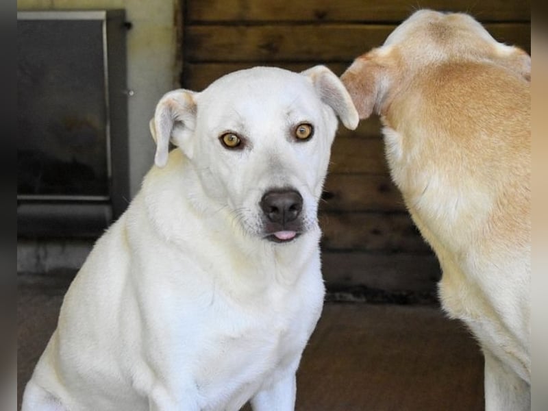 Luken - Zwei Seelen. Zwei Geschichten. Ein Ziel.