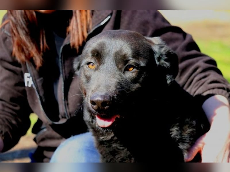 Jonatan - ist liebenswürdig zu Menschen