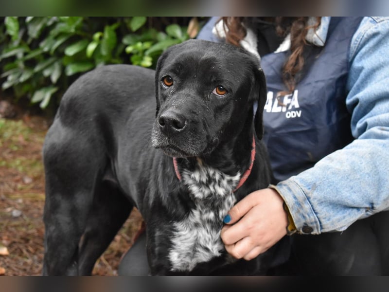 Giodith - Der Traum von einem eigenen Menschen soll wahr werden.