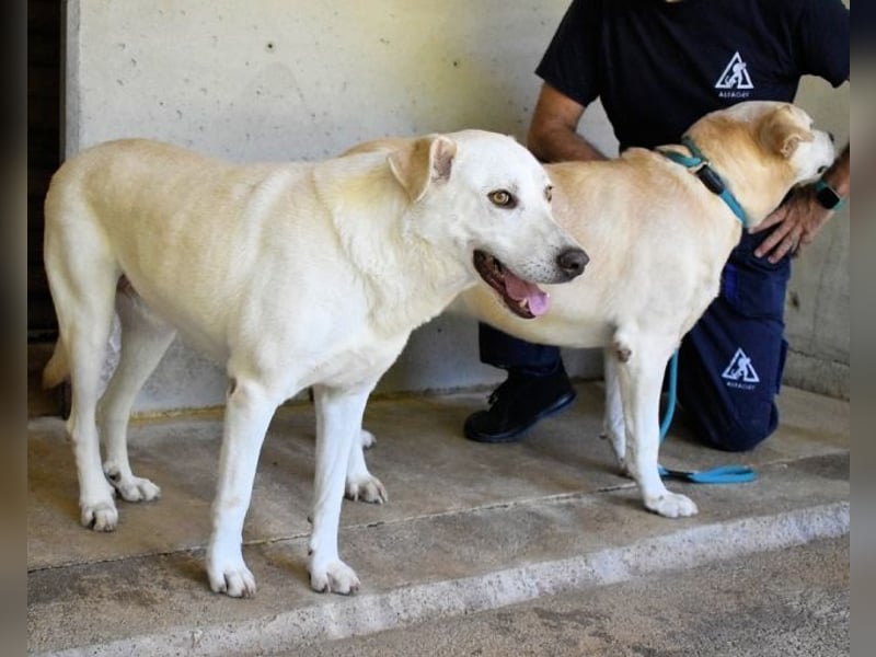 Luken - Zwei Seelen. Zwei Geschichten. Ein Ziel.
