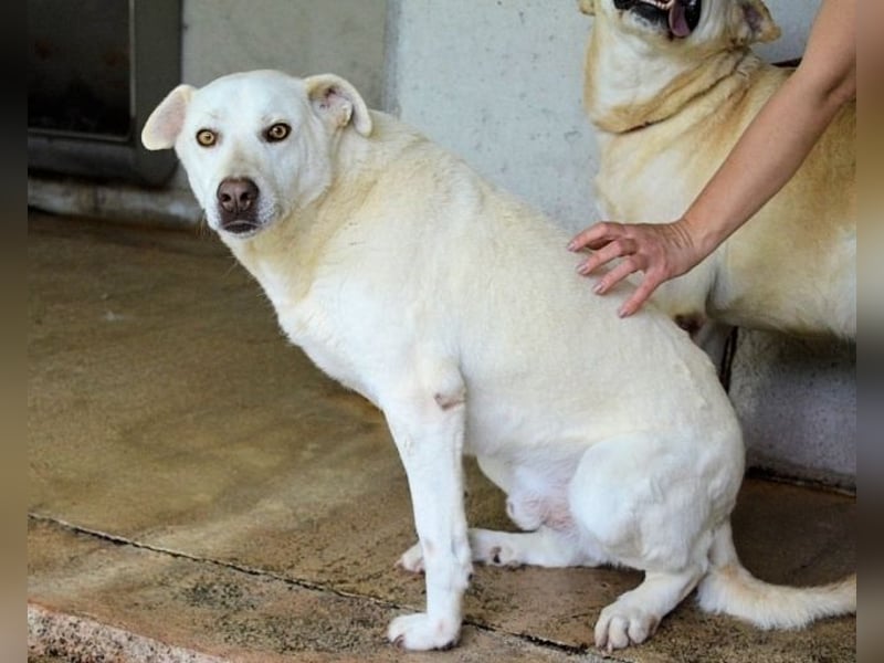 Luken - Zwei Seelen. Zwei Geschichten. Ein Ziel.