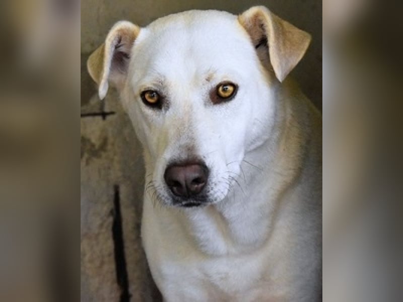 Luken - Zwei Seelen. Zwei Geschichten. Ein Ziel.