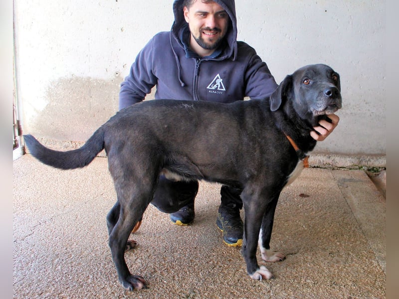 Norgen - Der überfällige Eintrag