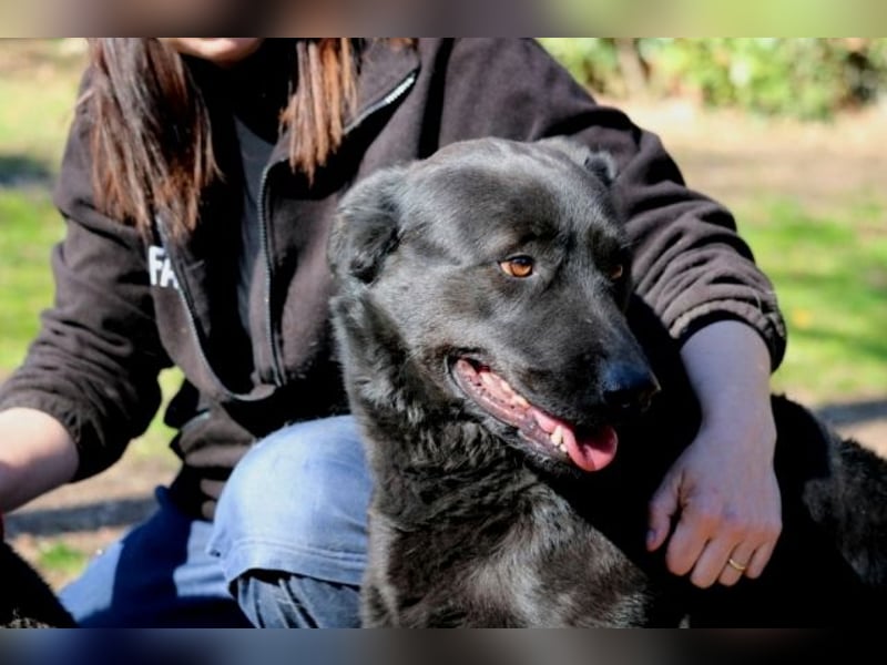 Jonatan - ist liebenswürdig zu Menschen