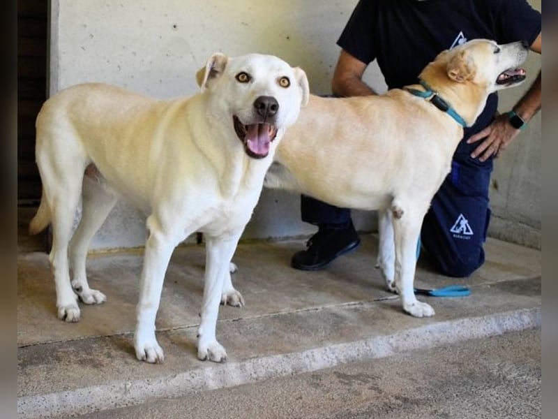 Luken - Zwei Seelen. Zwei Geschichten. Ein Ziel.