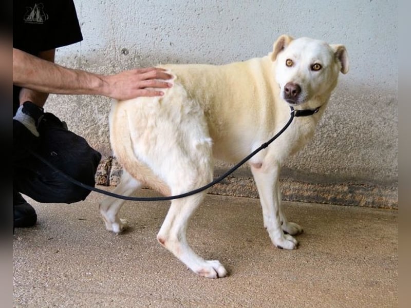 Luken - Zwei Seelen. Zwei Geschichten. Ein Ziel.