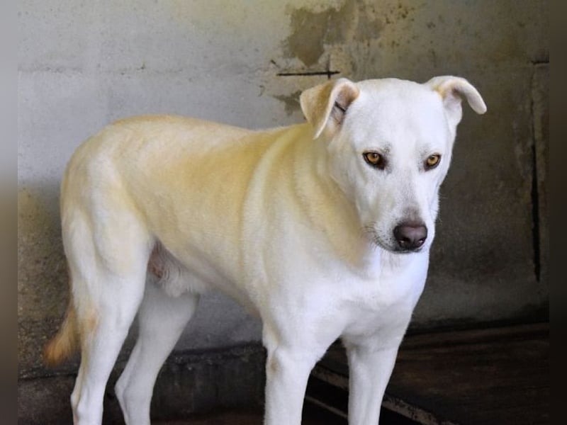 Luken - Zwei Seelen. Zwei Geschichten. Ein Ziel. Luken - Zwei Seelen. Zwei Geschichten. Ein Ziel.