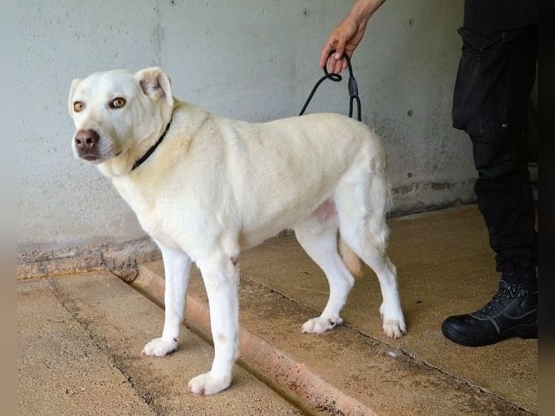 Luken - Zwei Seelen. Zwei Geschichten. Ein Ziel.