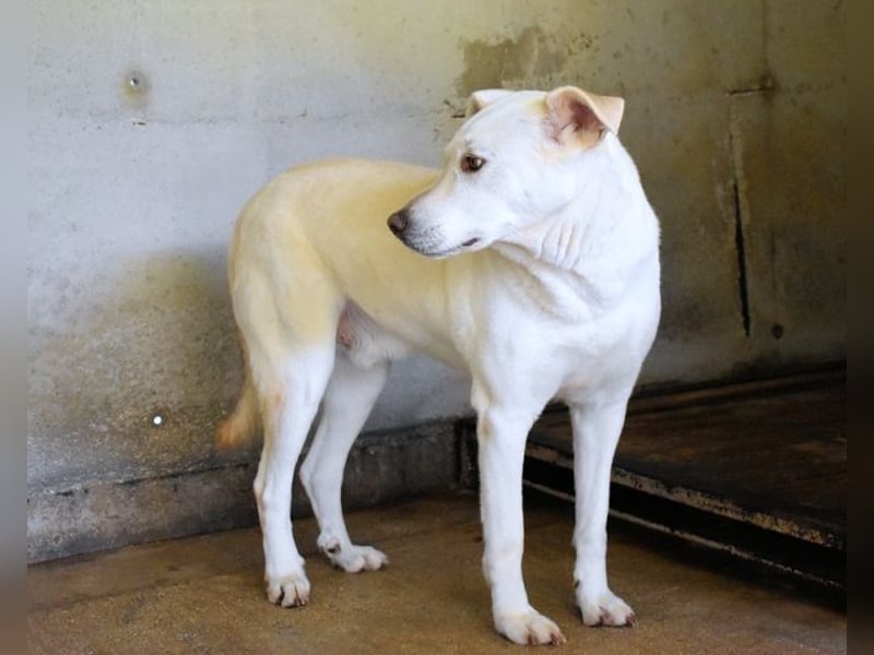 Luken - Zwei Seelen. Zwei Geschichten. Ein Ziel. Luken - Zwei Seelen. Zwei Geschichten. Ein Ziel.