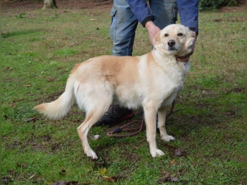 Dario - Warum eigentlich nicht ich?