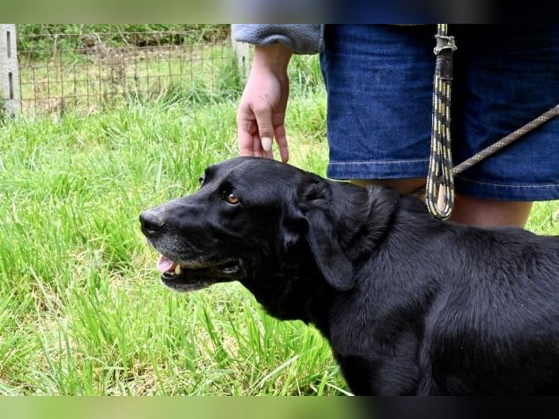 Titus - Hat jemand aus dem Fenster geschaut?